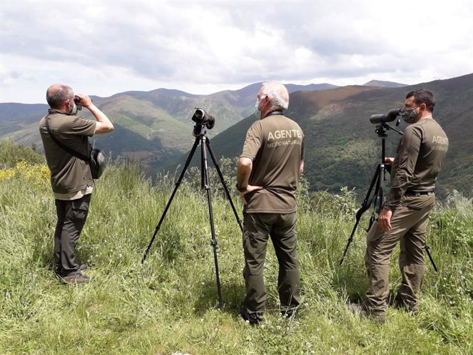 Dispositivo de vigilancia