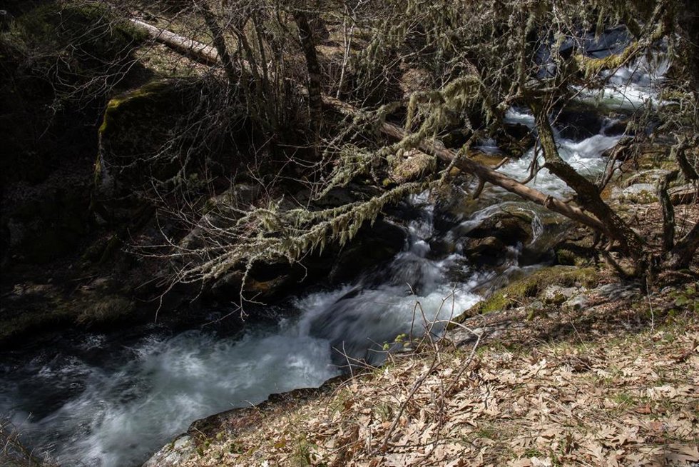 Archivo - Río Lozoya en el Valle de la Angostura, en el Pinar de los Belgas, a 7 de abril de 2022, en Madrid (España). El Pinar de los Belgas es un bosque con una extensión de 2.016 hectáreas situado entre el Valle del Lozoya, entre el Parque Natural de