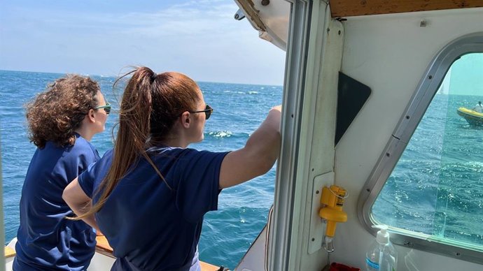 Ocho embarcaciones y una veintena de profesionales protegerán las praderas de posidonia de la Comunitat Valenciana