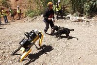 Tres robots de rescate diseñados en la UMA participan en un ejercicio práctico con perros autómatas