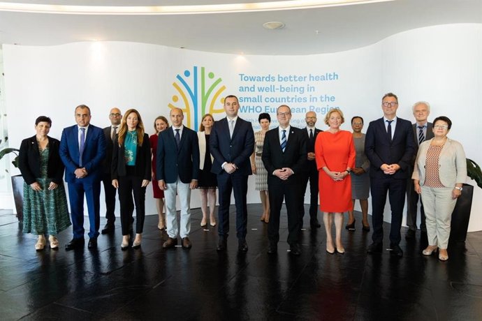 Els representants dels estats petits de l'OMS en la reunió de Montenegro
