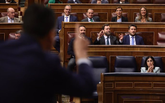 La bancada de Vox observa la intervención del presidente del Gobierno, Pedro Sánchez, en una sesión plenaria en el Congreso de los Diputados