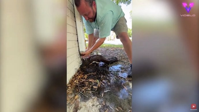 No creerás lo que encontró esta pareja en las cañerías de una casa