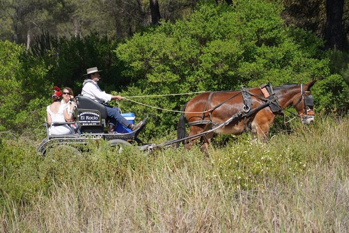 Peregrinos a caballo camino del Rocío 01 de junio del 2022 El Rocío, (Almonte, Huelva , Andalucía)