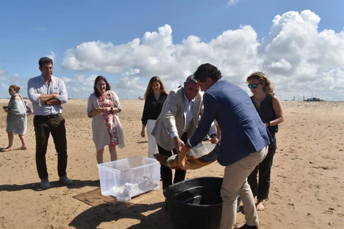 El delegado territorial de Desarrollo Sostenible de la Junta de Andalucía en Cádiz, Daniel Sánchez, durante la suelta de tortugas en Camposoto.