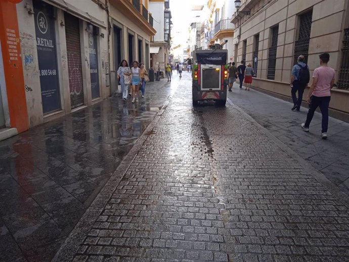 Un vehículo de limpieza por las calles del centro.