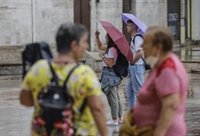 Probabilidad de precipitaciones este domingo en el Cantábrico, Pirineos, norte de Navarra y oeste de Galicia