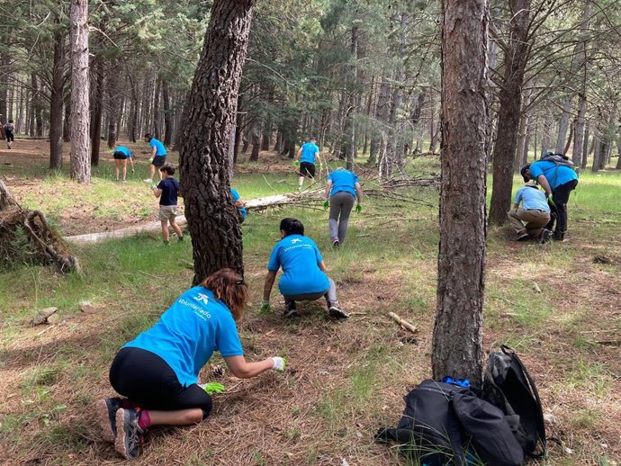 Voluntarios de Caixabank en un bosque