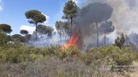Declarado un incendio forestal en Moguer (Huelva) y movilizados dos medios aéreos