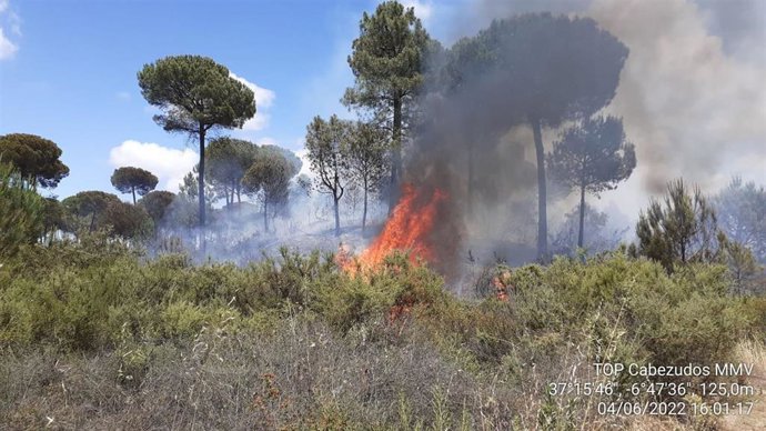 Incendio originado en el paraje 'La Charca' de Moguer.
