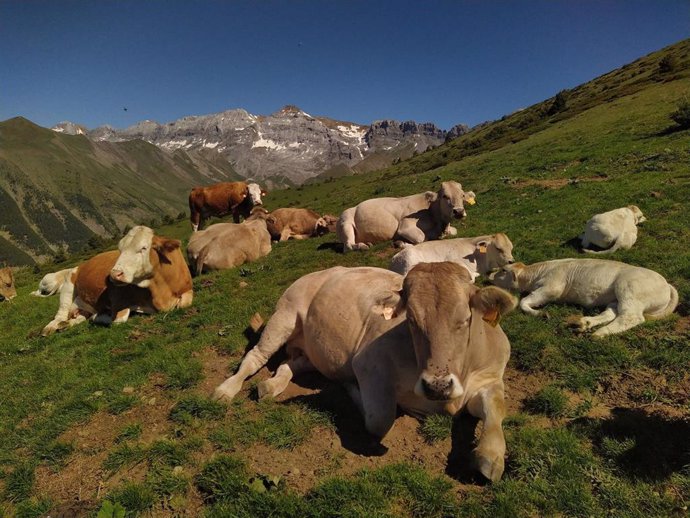 La ganadería y la agricultura de montaña pueden ayudar a mantener el paisaje y preservar la biodiversidad.