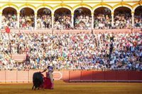 El PP-A impulsará una Ley de Tauromaquia, desarrollará un Plan de Fomento del Toro Bravo y un Plan Andaluz de Caza