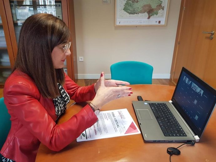 Archivo - La directora del Instituto de la Mujer, Pilar Callado, clausura el Foro Virtual 'Igualdad Laboral en Castilla-La Mancha'.