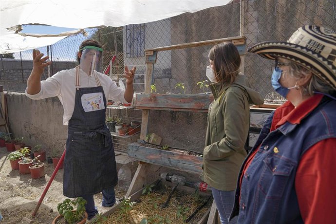 Archivo - Taller de mini huertos en una imagen de archivo