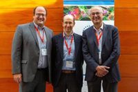 La estimulación del sistema inmune permite la erradicación total de las metástasis en modelos animales de osteosarcomas