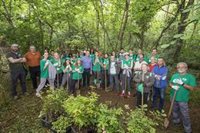 Medio centenar de voluntarios participan en una plantación en Astillero por el Día del Medio Ambiente
