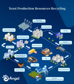 A blueprint for renewable-powered microbial proteins production