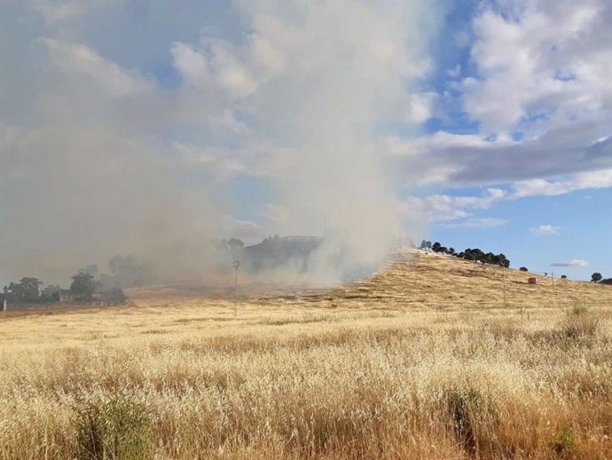 Incendio forestal registrado en Extremadura.