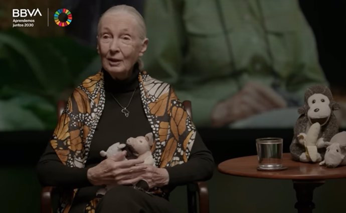 La primatóloga Jane Goodall durante su participación en 'Aprendemos juntos 2030', un un proyecto que cuenta con el reconocimiento de Naciones Unidas por su contribución a los Objetivos de Desarrollo S