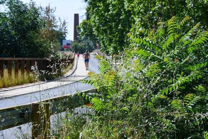 Les actuacions de l'AMB consoliden el curs fluvial del Llobregat com un espai d'oci i esport