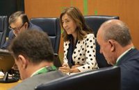 Garamendi asegura que el 90% de interinos tiene acreditado perfil lingüístico y pide "no resucitar debates del pasado"