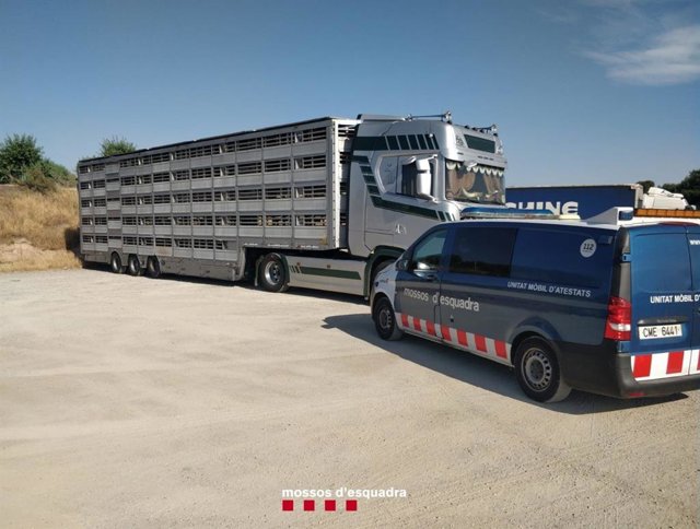 Control de tráfico destinado al transporte de mercancías