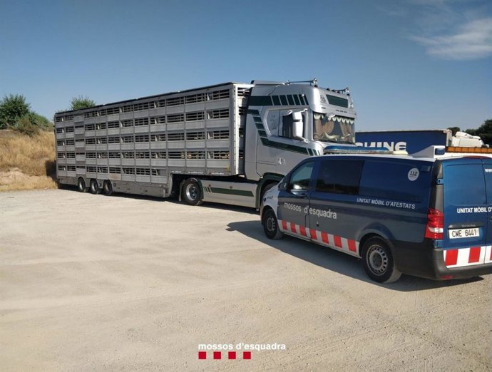 Control de trnsit destinat al transport de mercaderies