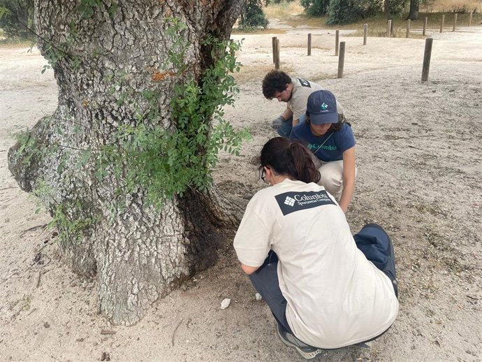 Columbia destaca la importancia de sensibilizar a la población sobre el cuidado de los ecosistemas.