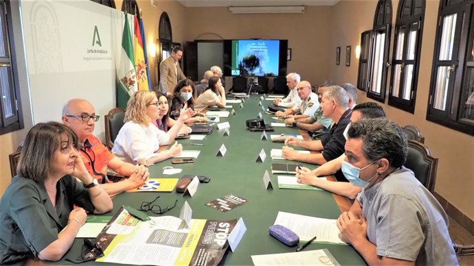 Reunión del comité asesor del Plan Infoca en Córdoba.