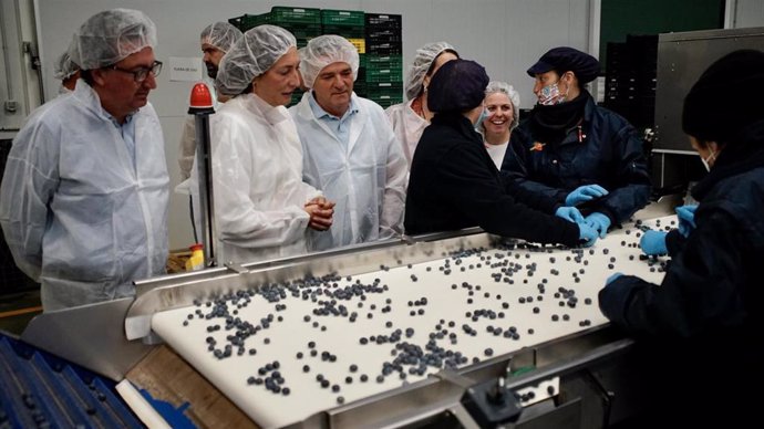 [Comunicación Pp De Andalucía]Nota, Audio Y Fotos De Loles López En La Visita A La Cooperativa Hortofrutícola Cartayfres En Cartaya, Huelva