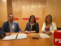 Gómez dice que el PSOE incluirá en las enmiendas a la Ley del Deporte la figura del consejero elegido por la afición