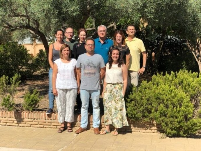 El equipo de investigadores está formado por expertos del ICMS-CSIC y del IHSM-CSIC.