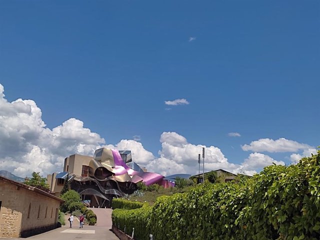 Nubes y claros. Elciego (Alava)