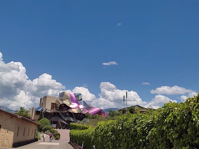 Nubes y claros. Elciego (Alava)