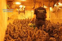 Desmantelan una plantación 'indoor' de marihuana en Torrejón del Rey y detienen a cuatro personas