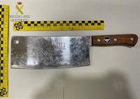 Detenido el agresor de la enfermera de Chozas de Canales, que padece trastornos mentales