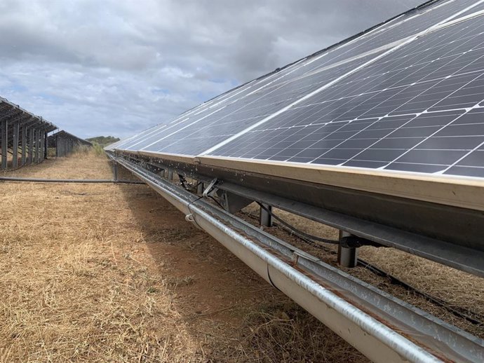 25 alumnos se forman en operación y mantenimiento de plantas renovables gracias al Ayuntamiento de Alcúdia y Endesa. Archivo.