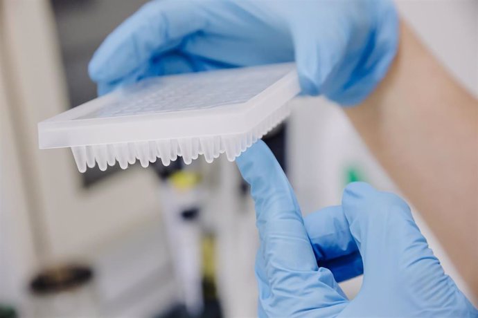 Una técnico de laboratorio prepara una PCR para el análisis de la viruela del mono.