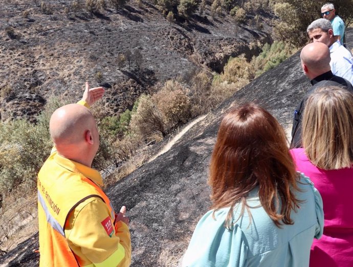  Visita técnica realizada el pasado 31 de mayo a la zona incendiada (archivo).