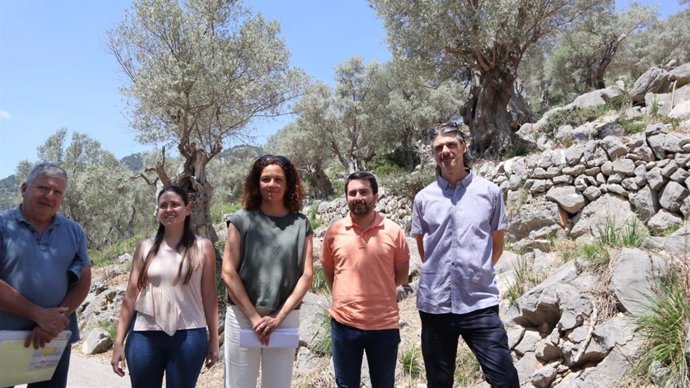 La presidenta del Consell, Catalina Cladera, y la vicepresidenta y consellera insular de Sostenibilidad y Medio Ambiente, Aurora Ribot, visitan los olivares de Tossals Verds