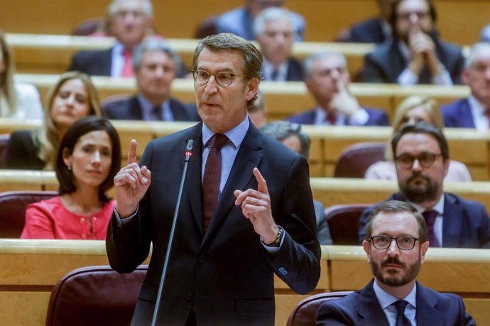 El líder del PP, Alberto Núñez Feijóo, interviene en una sesión plenaria en el Senado, a 7 de junio de 2022, en Madrid (España).