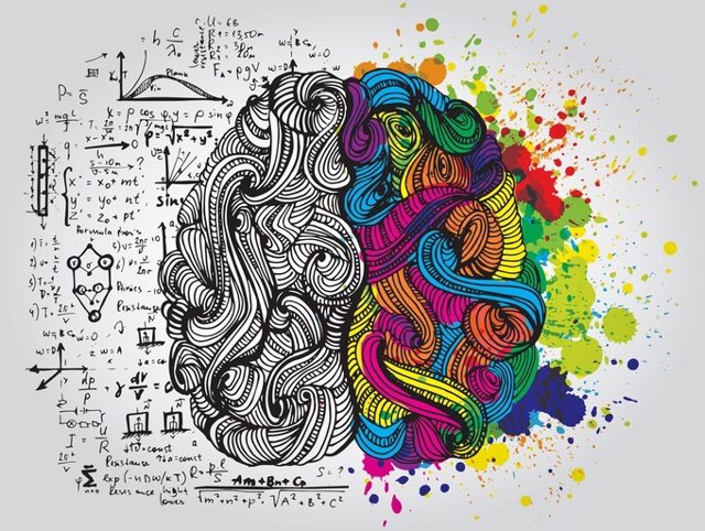 Archivo - Left and right human brain. Creative half and logic half of human mind. Vector illustration.