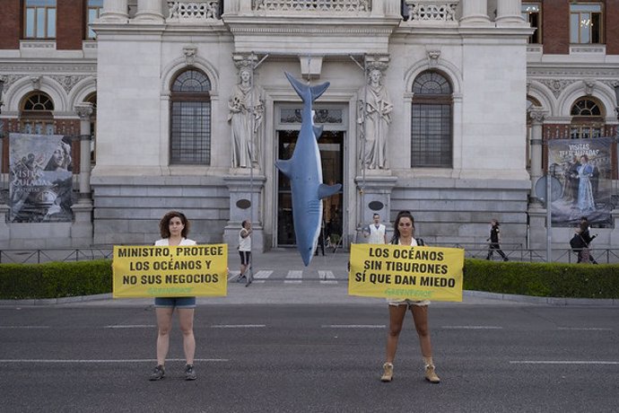 Activistas de Greenpeace portan pancartas por el Día de los Océanos tras colgar un tiburón de 5 metros en la puerta del Ministerio de Pesca.