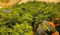 Cuatro detenidos con un cultivo de cerca de 400 plantas de marihuana en una vivienda de Vícar (Almería)