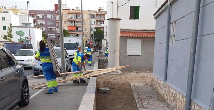 Archivo - Trabajadores de Emaya durante las tareas de limpieza.