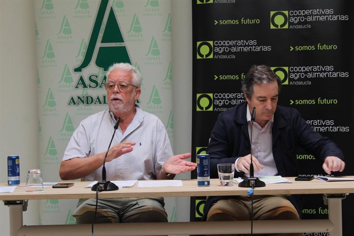 Ricardo Serra, presidente de Asaja-A, y Jaime Martínez-Conradi, director gerente de Cooperativas Agro-alimentarias de Andalucía, en la rueda de prensa de este miércoles.