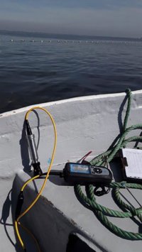 El IMIDA constata niveles de oxígeno "óptimos" en el entorno de la playa de Matas Gordas, en el Mar Menor