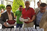 La X Muestra Provincial de la Cereza de Jaén promocionará las bondades de este producto en 17 municipios