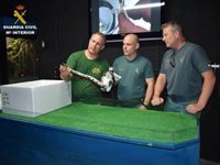 La Guardia Civil rescata a una tarántula y dos serpientes en una vivienda rural de Altea