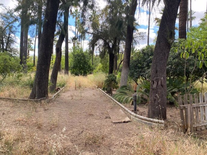 Estado del parque de Blancanieves, entre la avenida de la Borbolla y la Plaza de España.